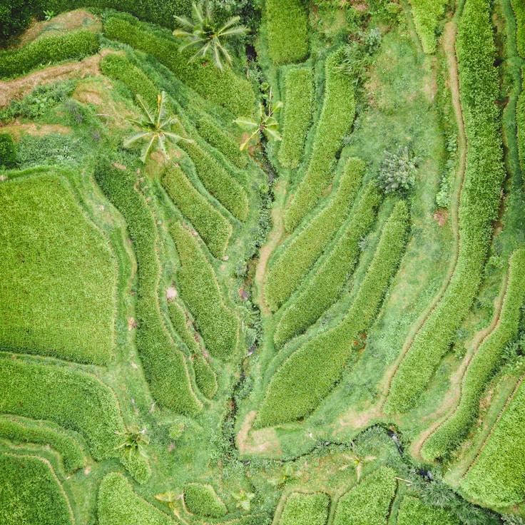 Family terraces and cafés for calm evenings in Lisbon